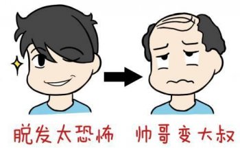 头发掉的厉害怎么办