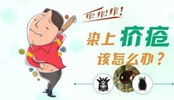 疥疮患者饮食方面怎么调理